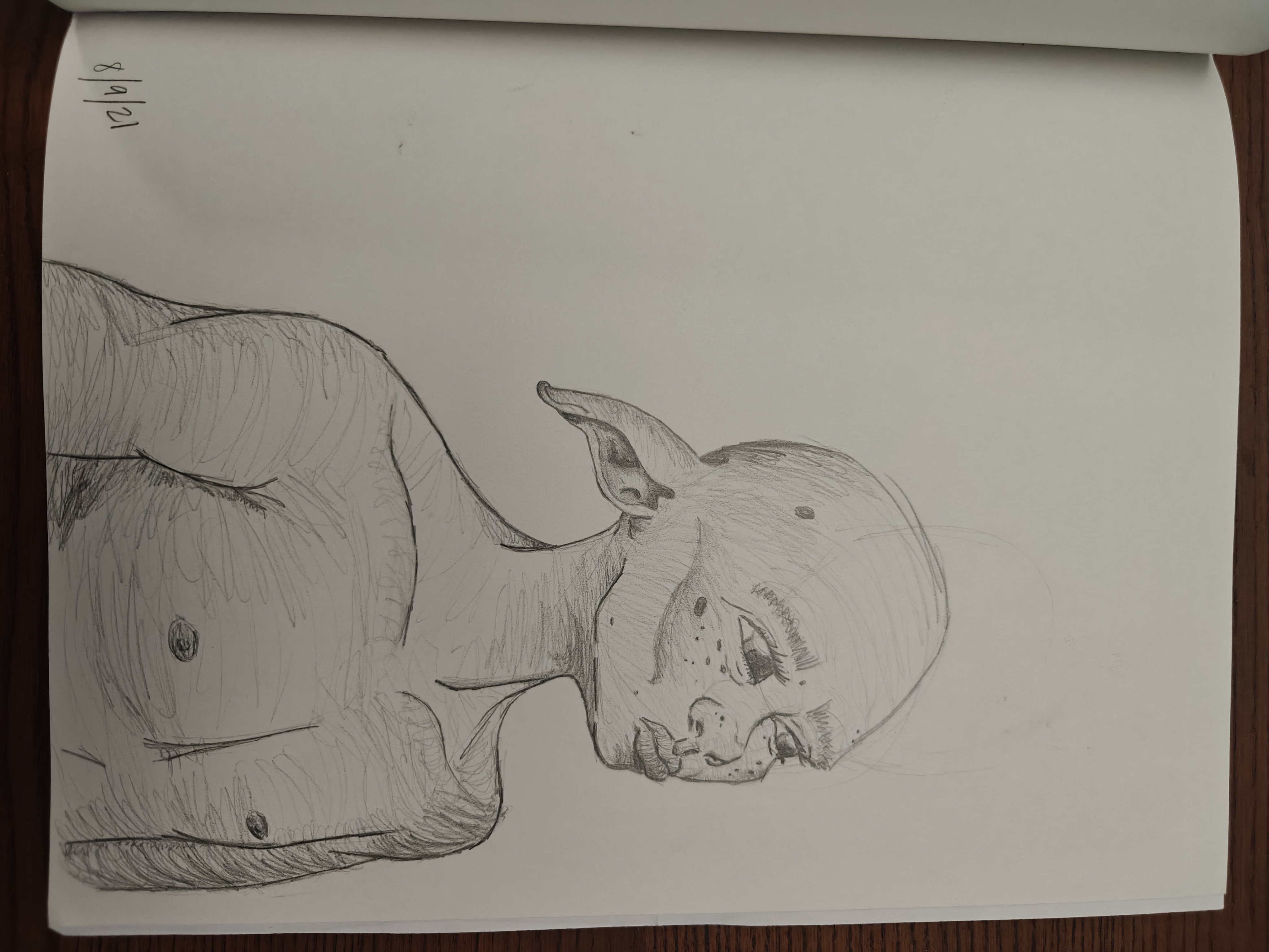 pencil (Aug 2021)